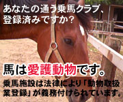 乗馬施設は動物取扱業登録が必要です
