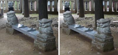 梟(フクロウ)のベンチ 交差法3Dステレオ立体写真