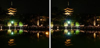猿沢池と興福寺五重塔ライトアップ 平行法ステレオ立体視３Ｄ写真
