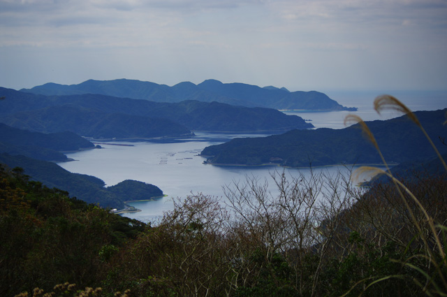 宇検村・焼内湾（夏に撮りたい景色）