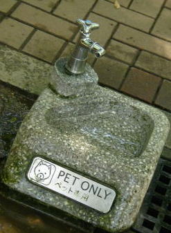 pet only