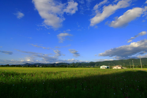 秋田県湯沢市三梨町の風景