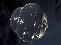無重力下での水の球と泡の実験