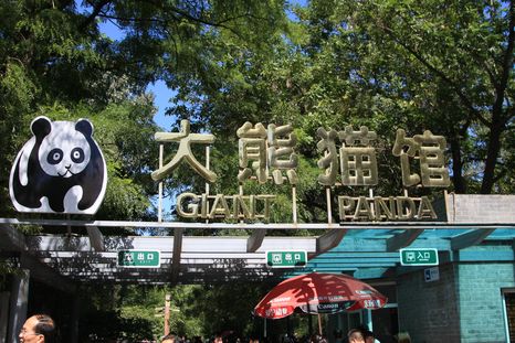 北京動物園2