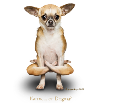 yoga_doggy.png