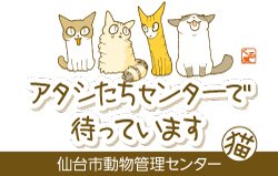 仙台市動物管理センター猫