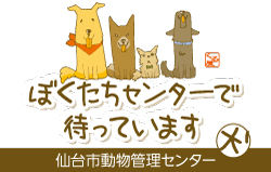 仙台市動物管理センター犬