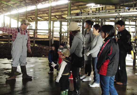 森光牧場で酪農体験4