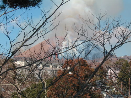 伊豆高原　ギャラリー　ショップ　ギャラリーぶなの木　大室山の山焼き