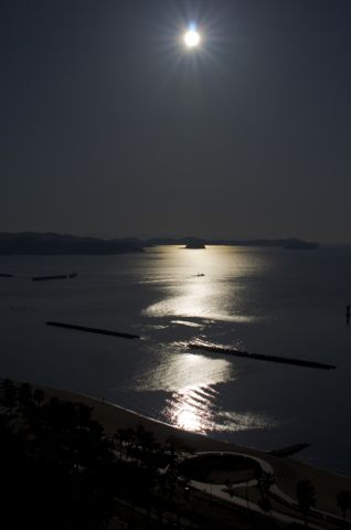 三河湾の朝の光