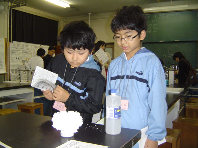 筑波大学付属中学の学芸発表会にて化学研究会の尿素の結晶を見る子供達