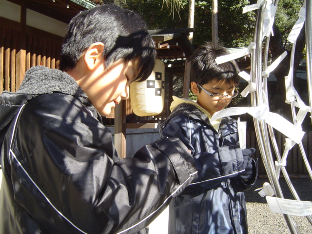 乃木神社の初詣でおみくじを引く子供達