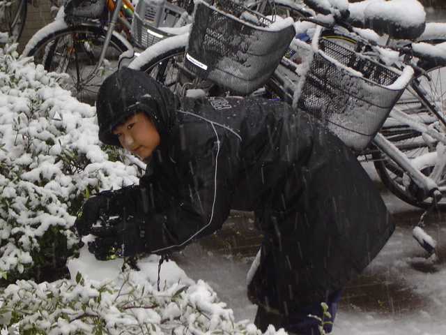 雪だるまを自転車置き場に移動させる下の子