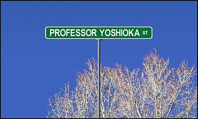 Professor Yoshioka Street