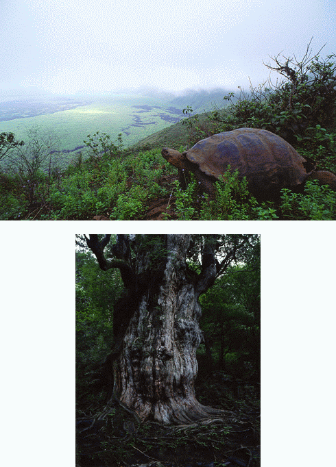 フジフイルム・スクエア「写真で旅する世界遺産」第一部：自然遺産編