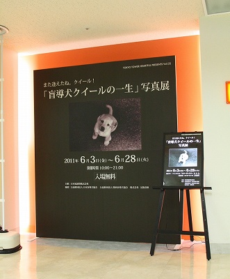 クイール展東京タワー 001