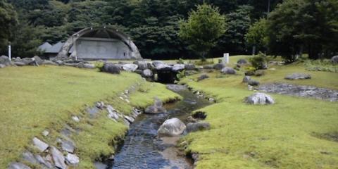 屋久島総合自然公園の小川