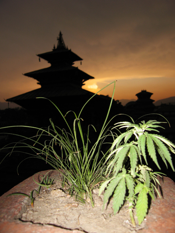 Kathmandu61711-7.jpg
