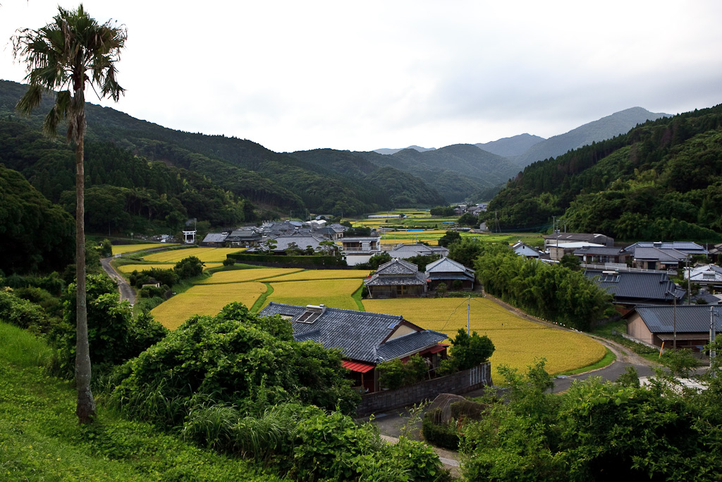 九州南部の田園風景