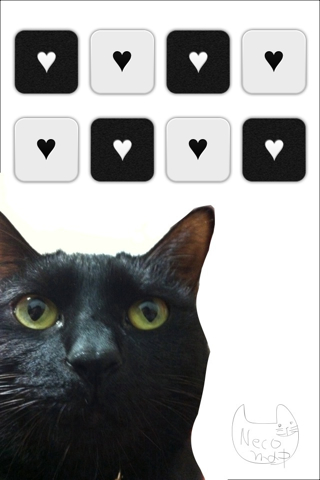 黒猫壁紙02 Iphone Necomap 黒猫的iphone生活