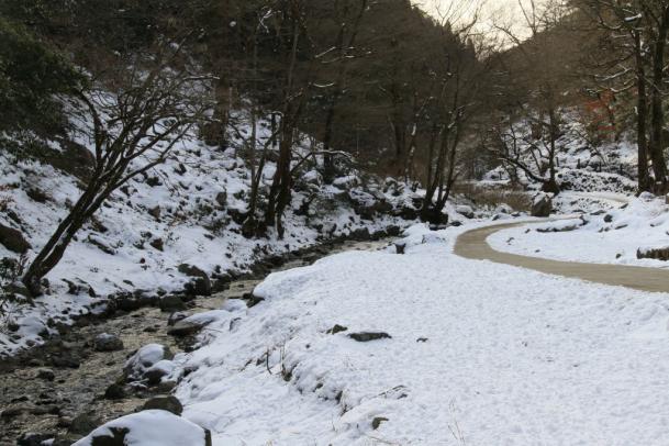 雪の神庭の滝・新庄不動滝