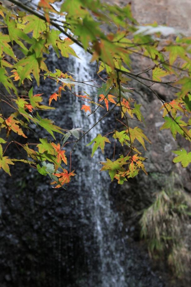 深谷の滝　紅葉